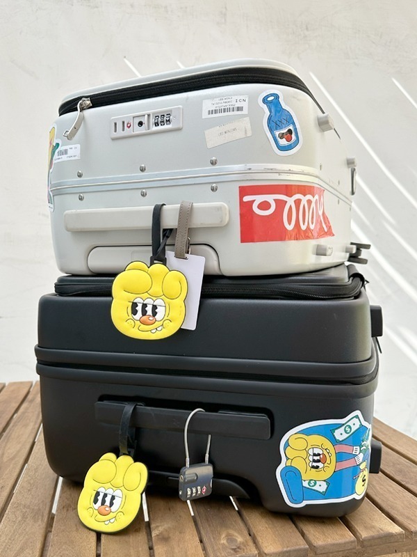 hololoy Luggage Tag